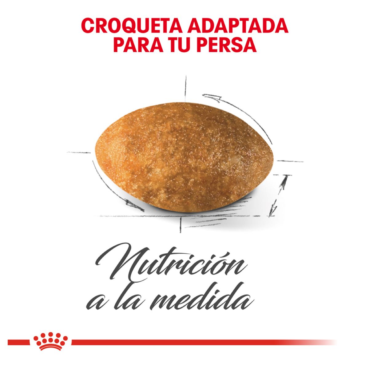 Royal Canin Persian Cat Adult 3.18 Kg - Alimento para Gato Persa Adulto Royal Canin Persian Cat Adult 3.18 Kg - Alimento para Gato Persa Adulto